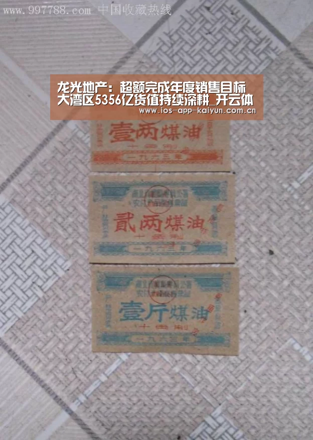 龙光地产:超额完成年度销售目标 大湾区5356亿货值持续深耕_开云体育网站(图2) 开元体育