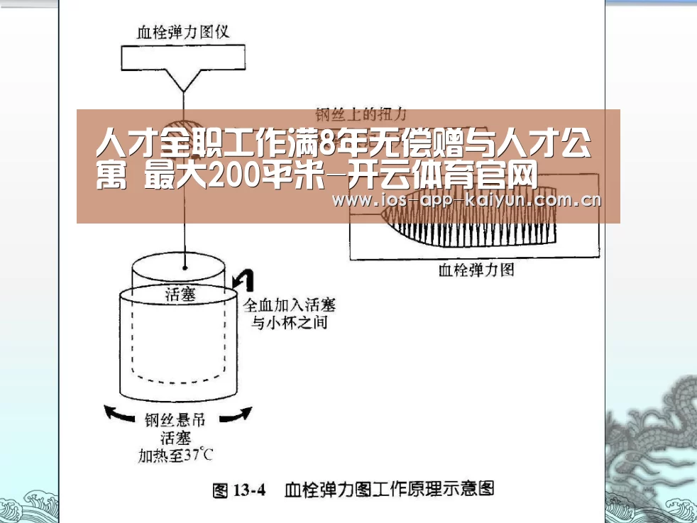 开云体育互动