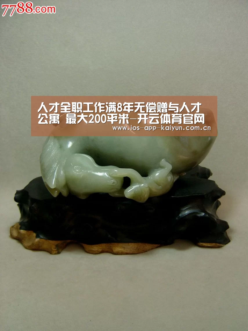 开云体育官网