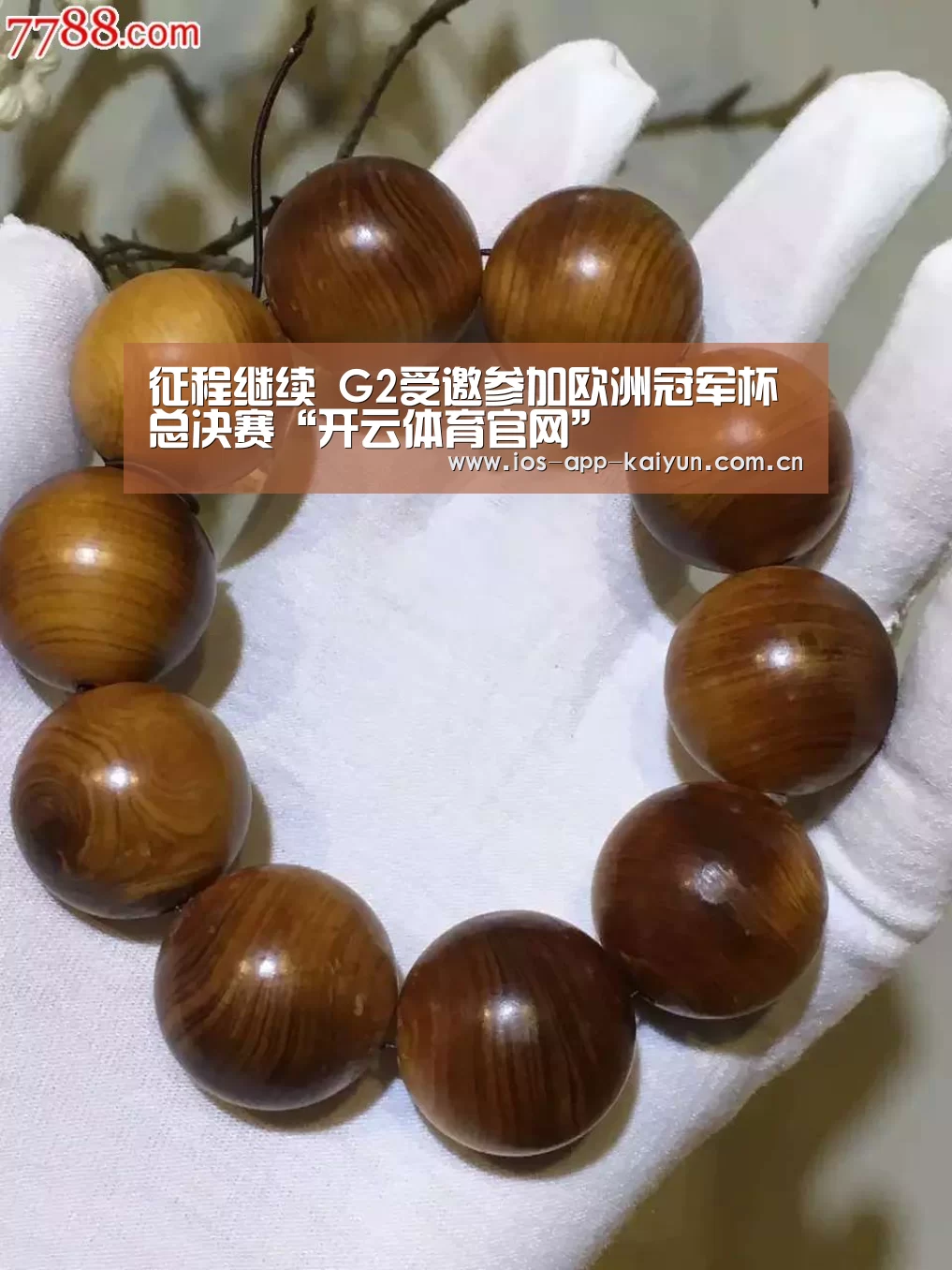 征程继续 G2受邀参加欧洲冠军杯总决赛“开云体育官网”(图4) 开元体育