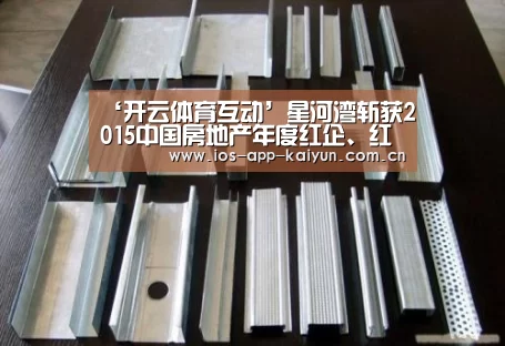 ‘开云体育互动’星河湾斩获2015中国房地产年度红企、红盘双项大奖(图3) 开云体育互动