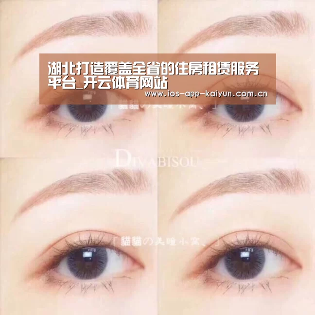 湖北打造覆盖全省的住房租赁服务平台_开云体育网站(图3) 开云体育网站